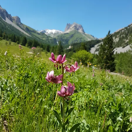 Les Lacs Lägenhetshotell